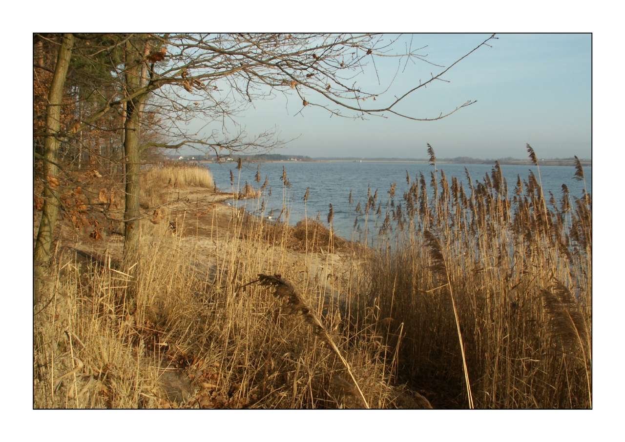 Działka Rekr. - budow. obok zalewu Domaniów - Pełny obrazek: 4/8