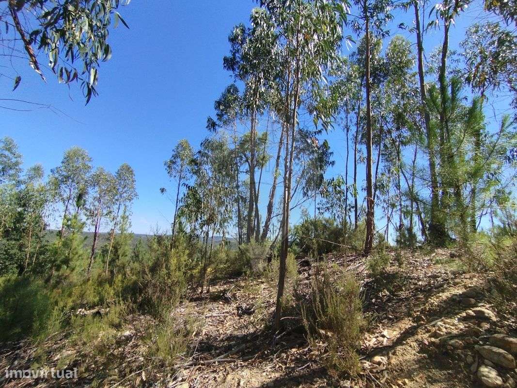 Terreno  para venda - Grande imagem: 2/4