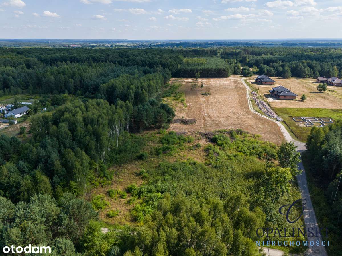 Otoczenie lasu | Cicha okolica | Mpzp | Inwestycja-2