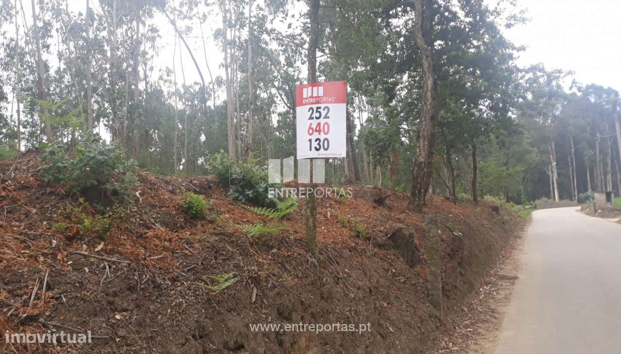 Venda de Terreno Florestal, Rates, Póvoa de Varzim - Grande imagem: 2/27