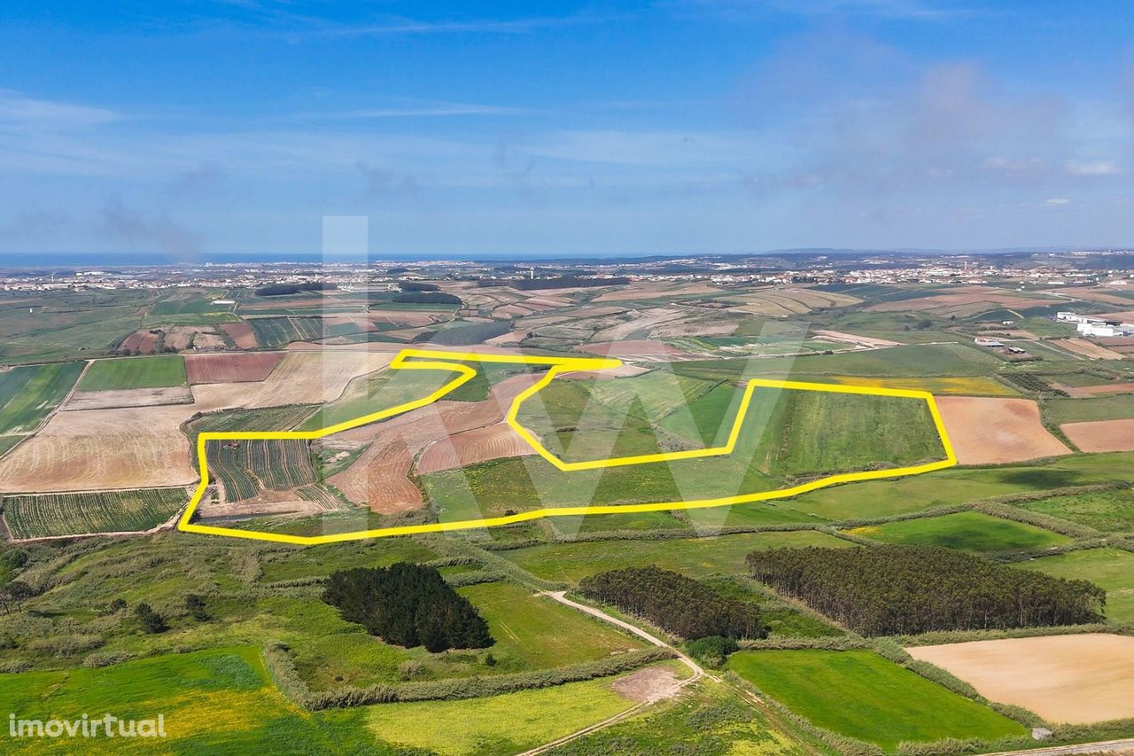 VENDA DE TERRENO EM PAIMOGO - LOURINHÃ