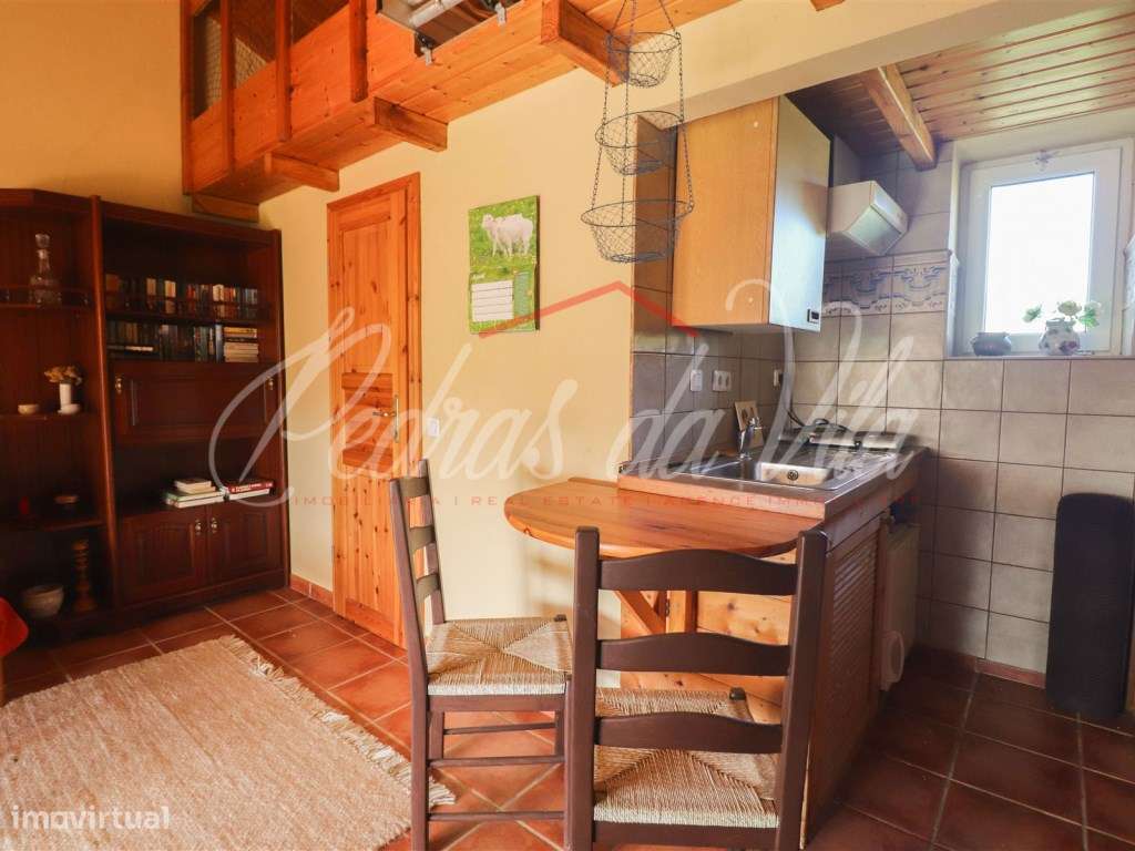 Quinta com 6,5ha em Vale Juncal - São Teotónio-11