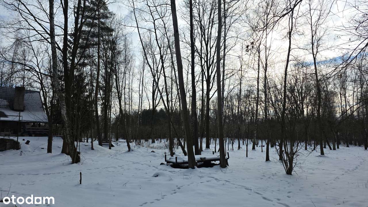 Złotokłos – ul. Urocza / ul. Topolowa 7596m2 (76ar), 84m x 91m-5