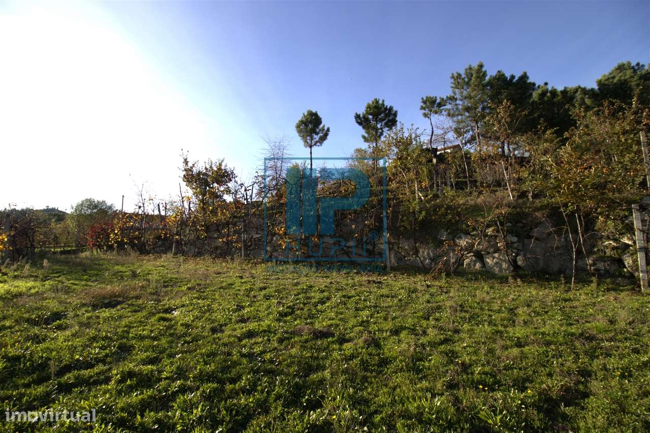 Quinta T3+1 Venda em Penhalonga e Paços de Gaiolo,Marco de Canaveses-46