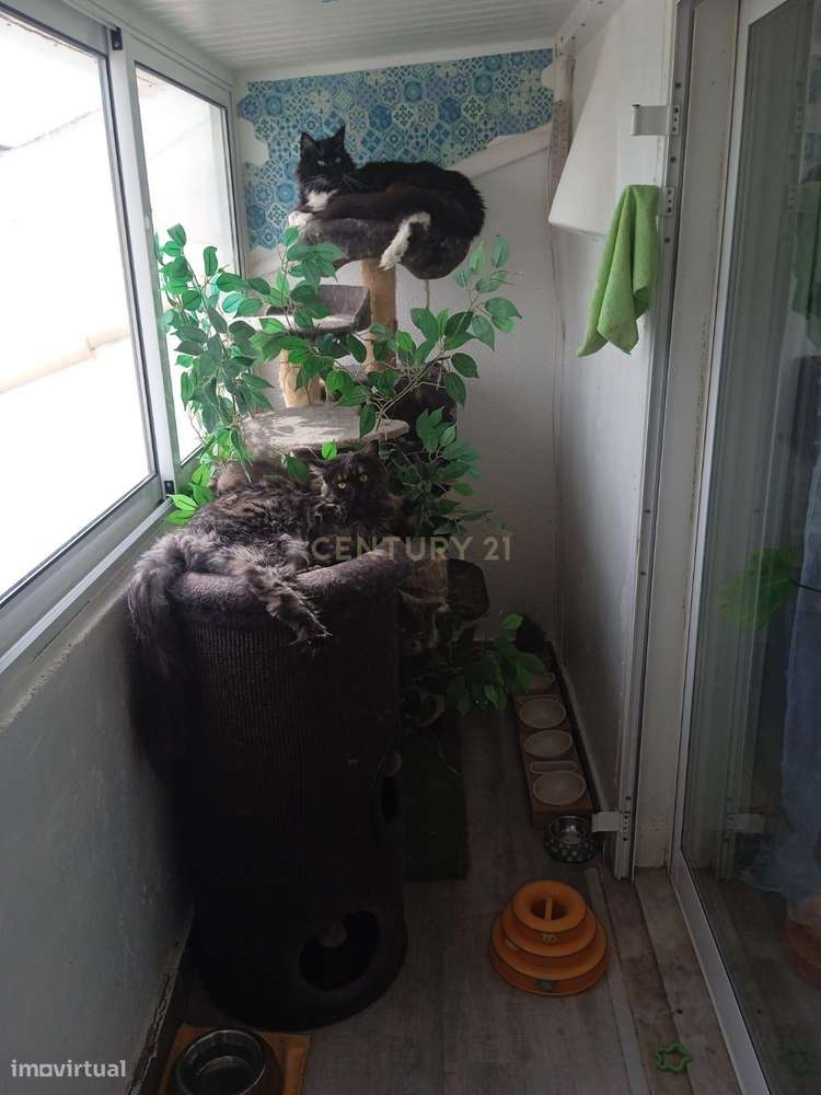 NAO PERCA ESTA GRANDE OPORTUNIDADE! SOTÃO TRANSFORMADO EM APARTAMENTO-11