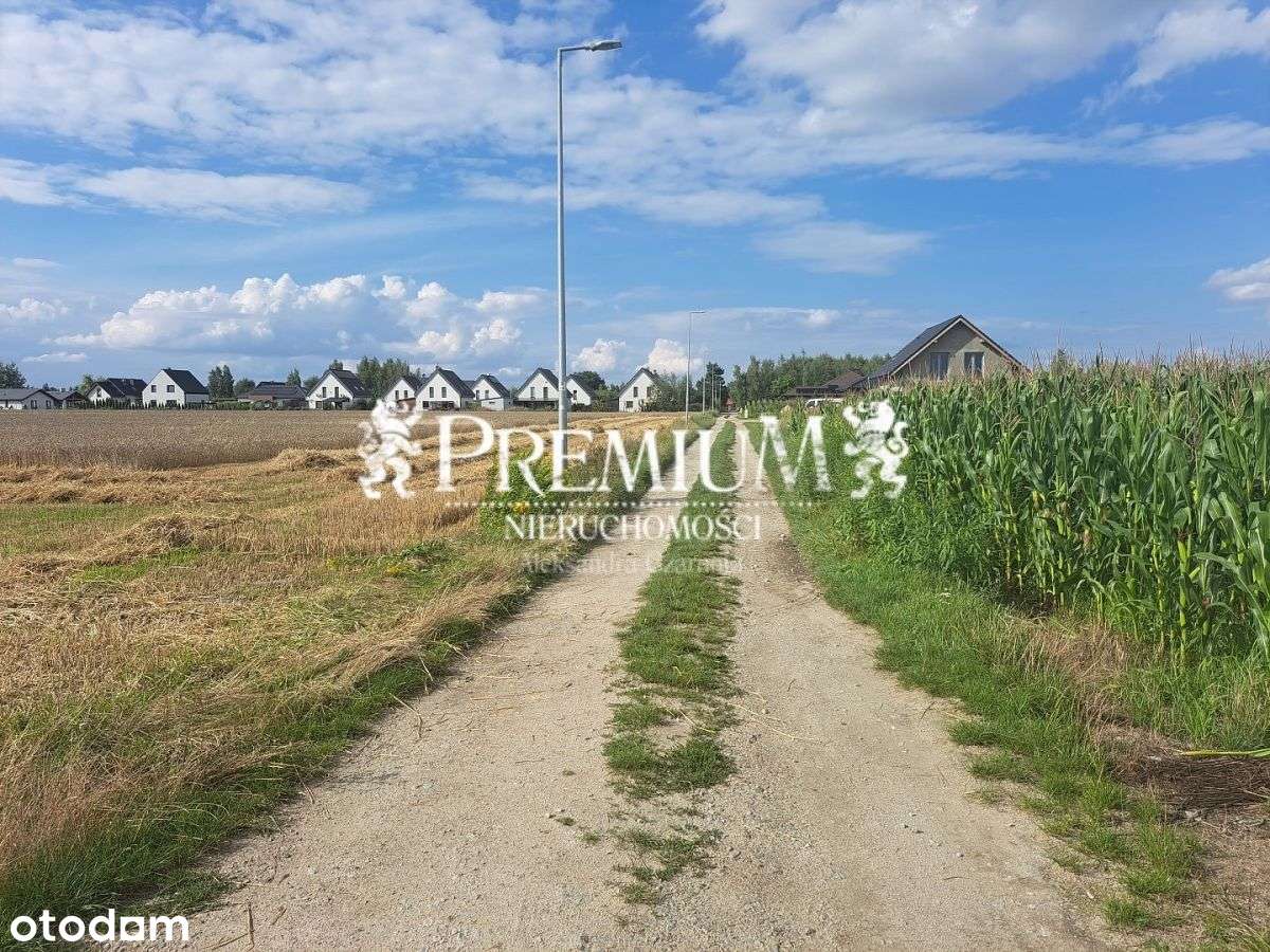 Działka w Brzezinie z wydanymi warunkami - Pełny obrazek: 5/5