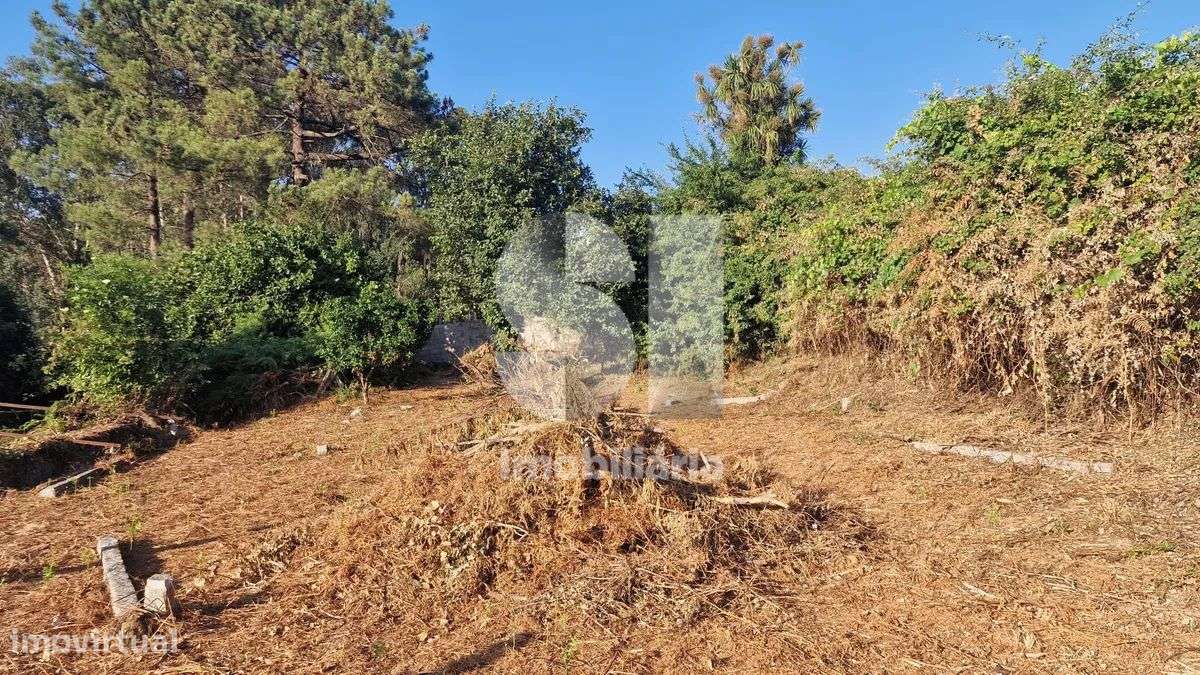 Terreno - potencial de investimento - Astromil - Paredes-40