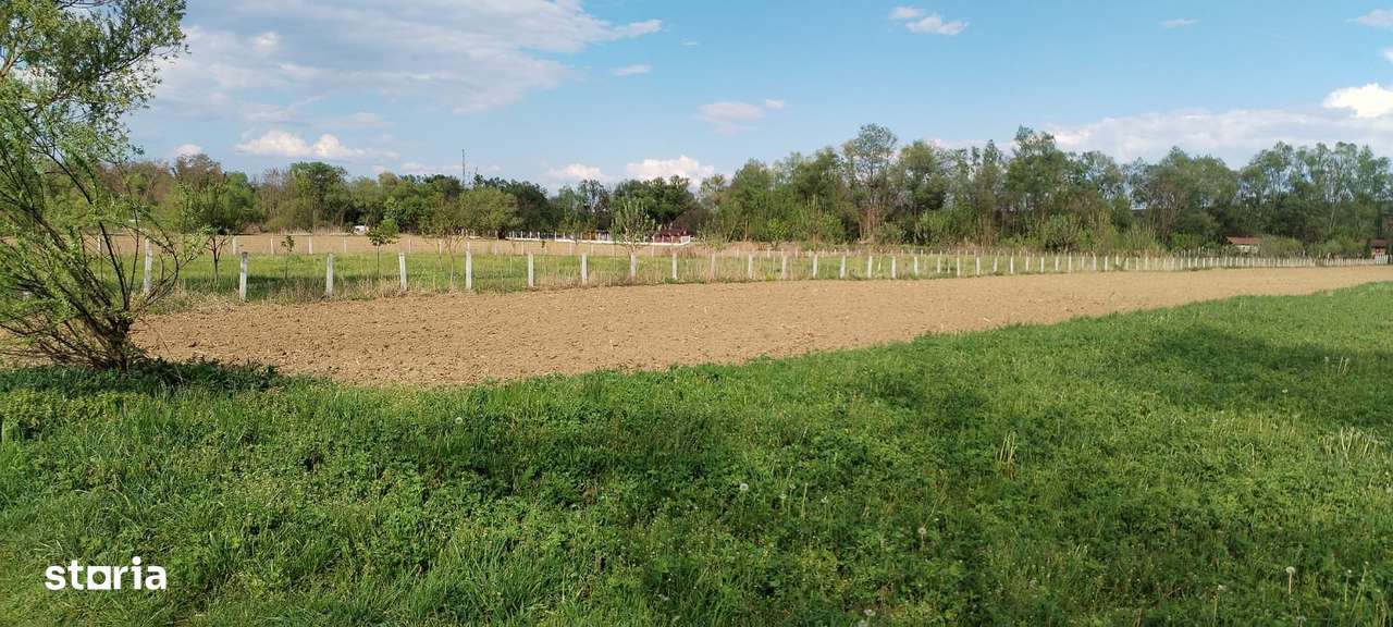 Teren Barcea Mica - Imagine principală: 2/5