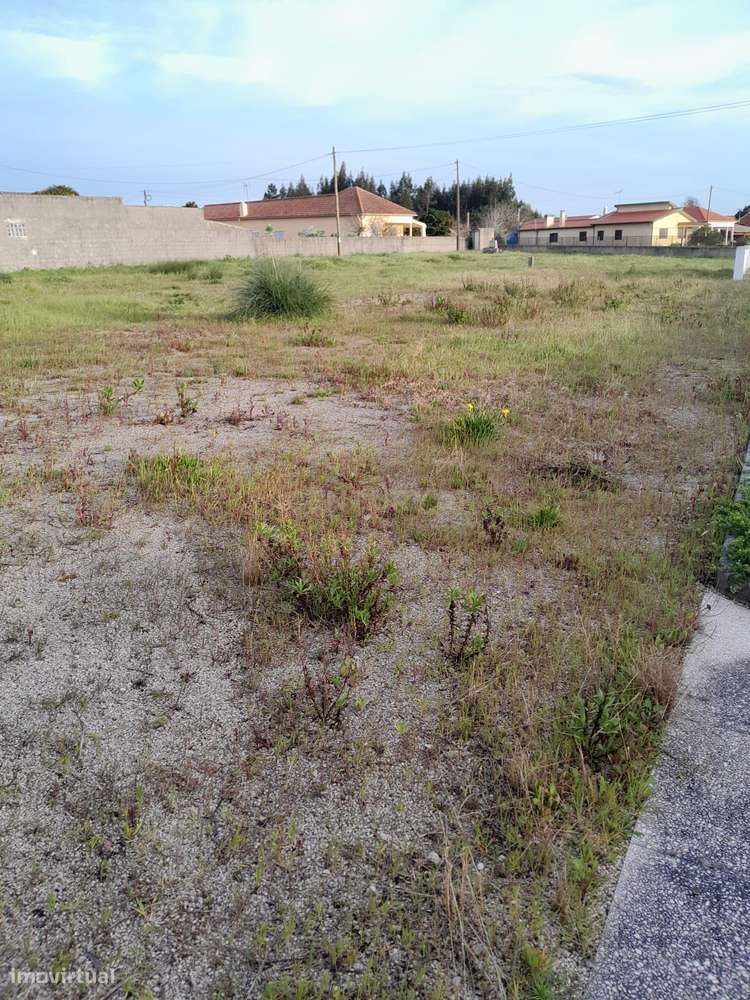 Terreno Rústico em Coimbra - Oportunidade Única! - Grande imagem: 4/8