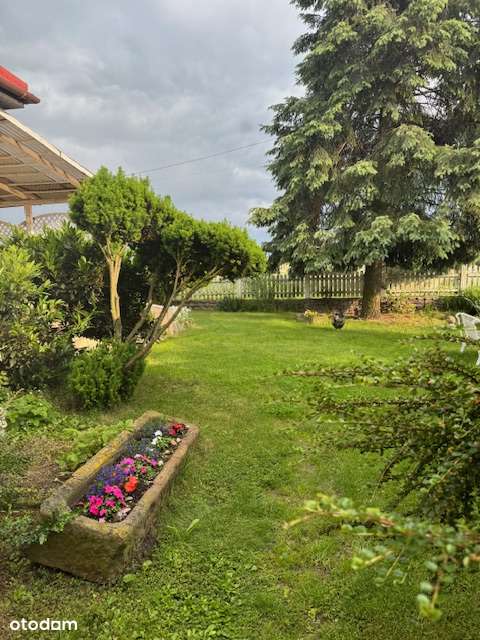 Wiśniowa/okolice Świdnicy, wolnostojący dom na dużej działce!-15