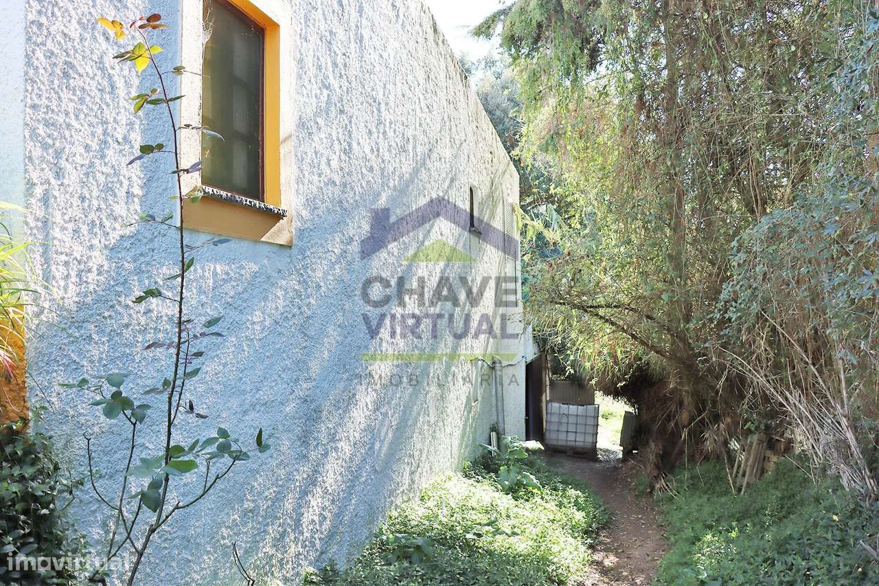 Magnífica Quinta c/ 10.490 m2 Concelho Cadaval-28