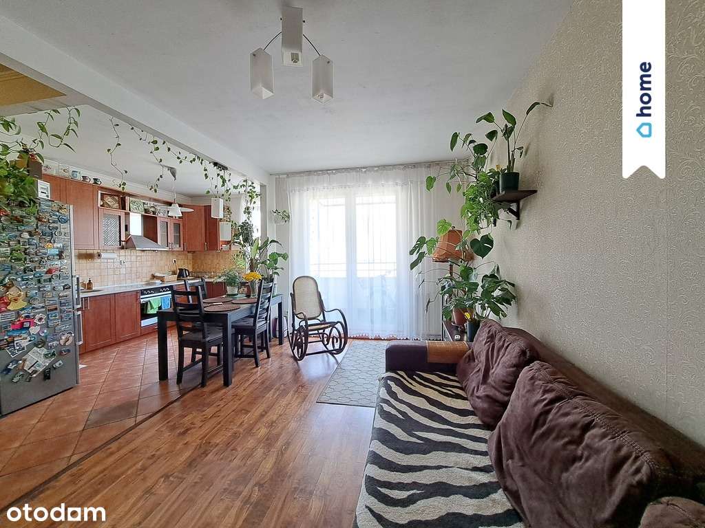 2 pok możliwy rozkład, balkon - Pełny obrazek: 4/10