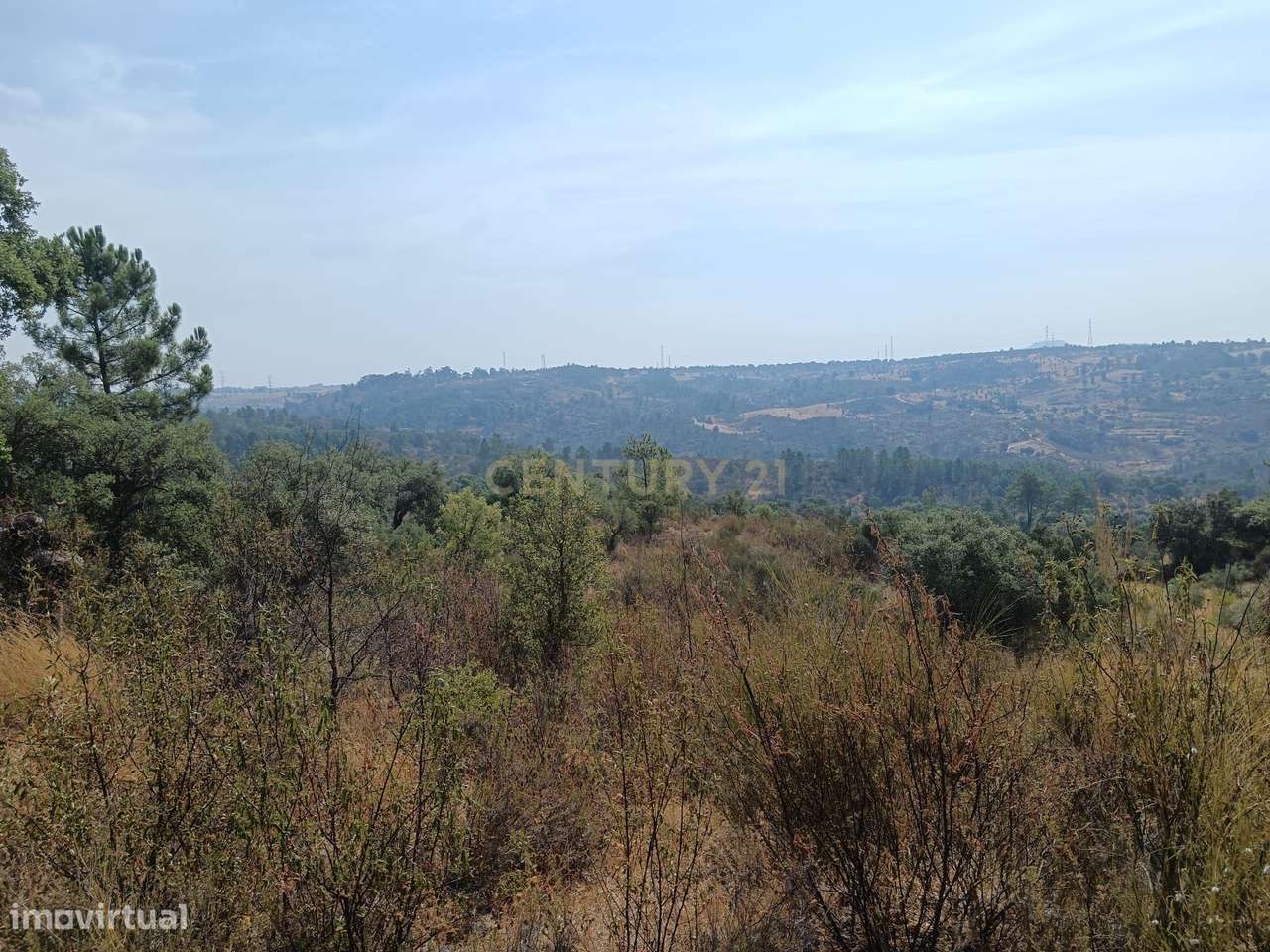 Terreno rustico em Palvarinho ( S. Lourenço  ) - Grande imagem: 4/8