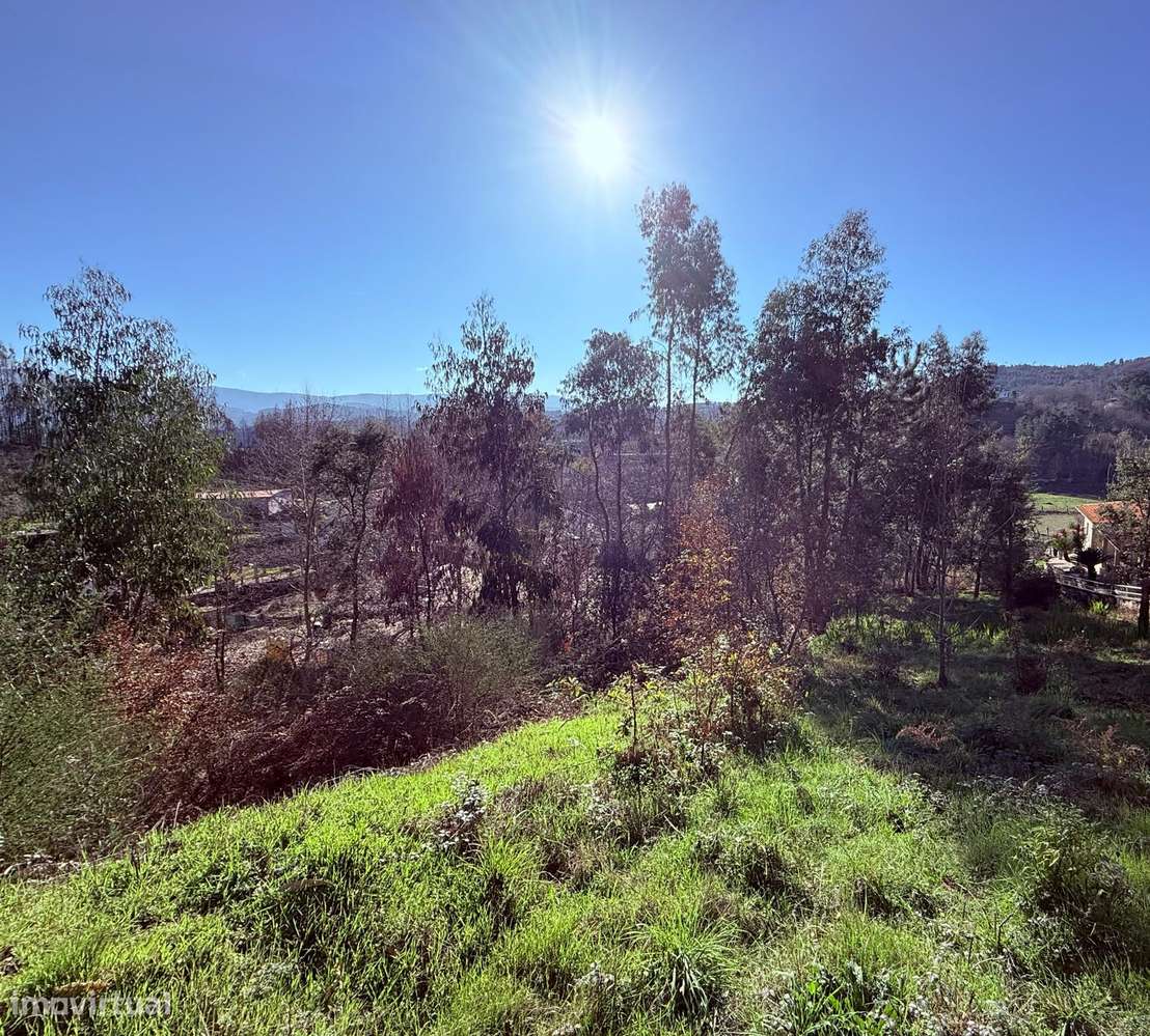 Terreno em Celorico de Basto-5