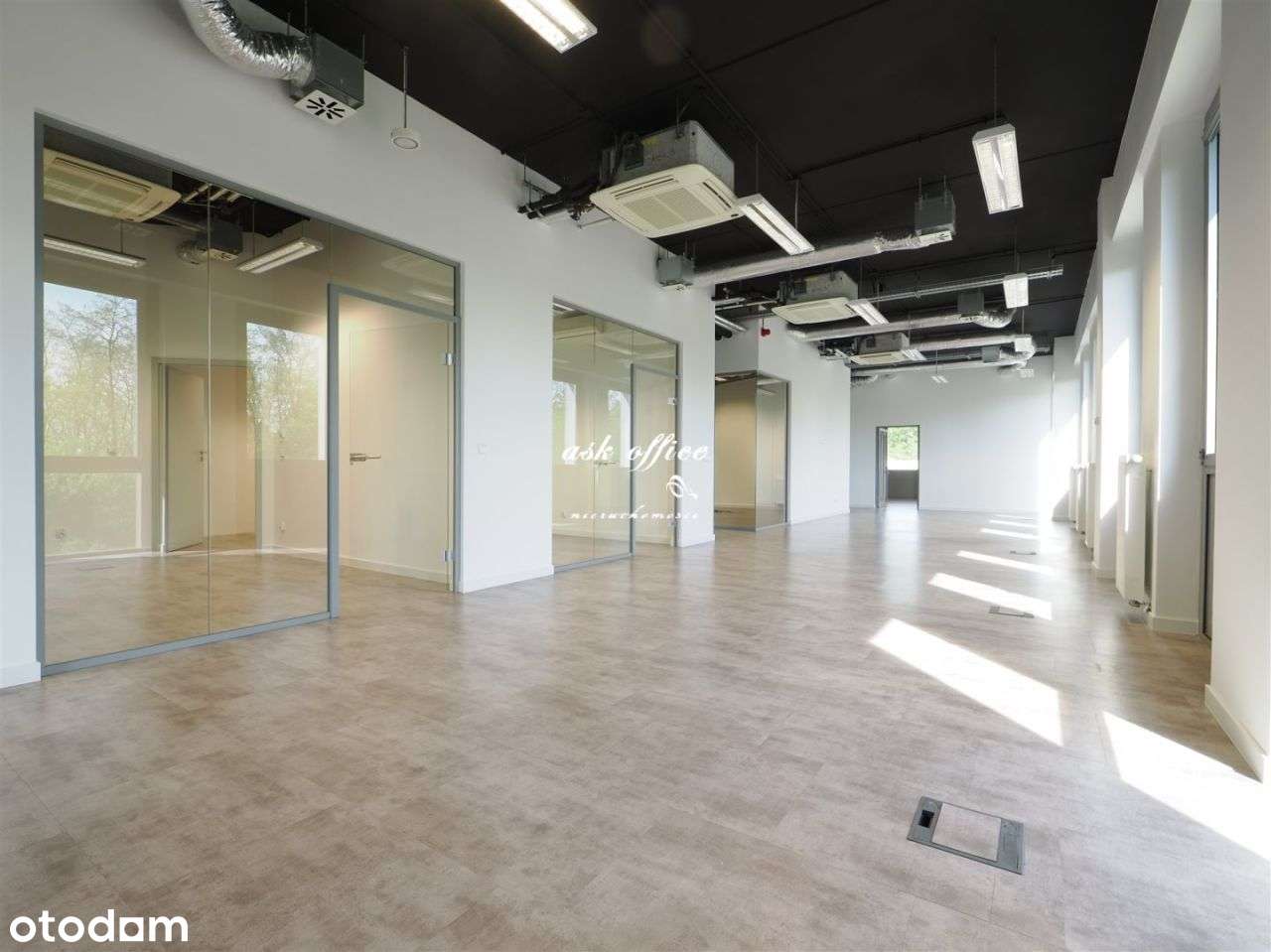 Lokal użytkowy, 257 m², Wrocław