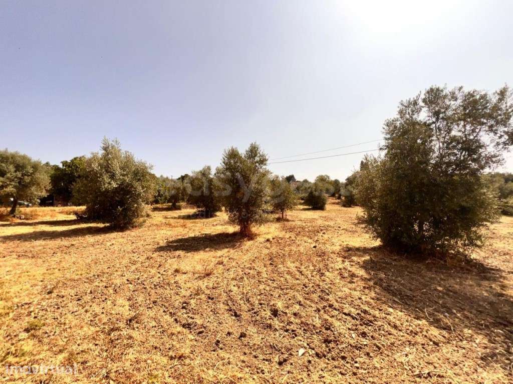 Terreno com possibilidade de construção perto do Entroncamento - Grande imagem: 5/10