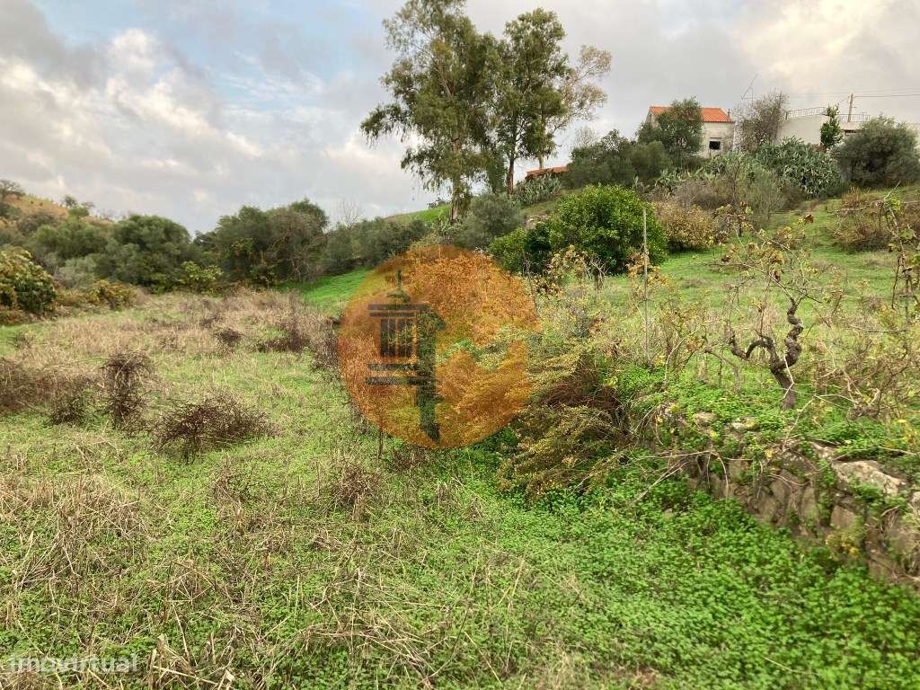 TERRENO RUSTICO COM 760 M2 - COM POÇO - EM ALTA MORA - ODELEITE - C... - Grande imagem: 3/27