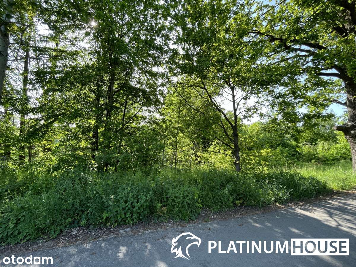 Działki budowlane z dogodnym asfaltowym dojazdem-1