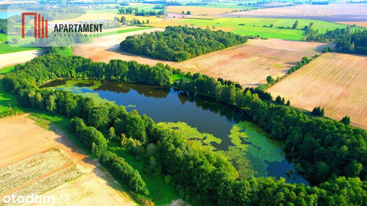 Tylko U Nas Stawy Z Działką Urokliwe Miejsce - Pełny obrazek: 4/18