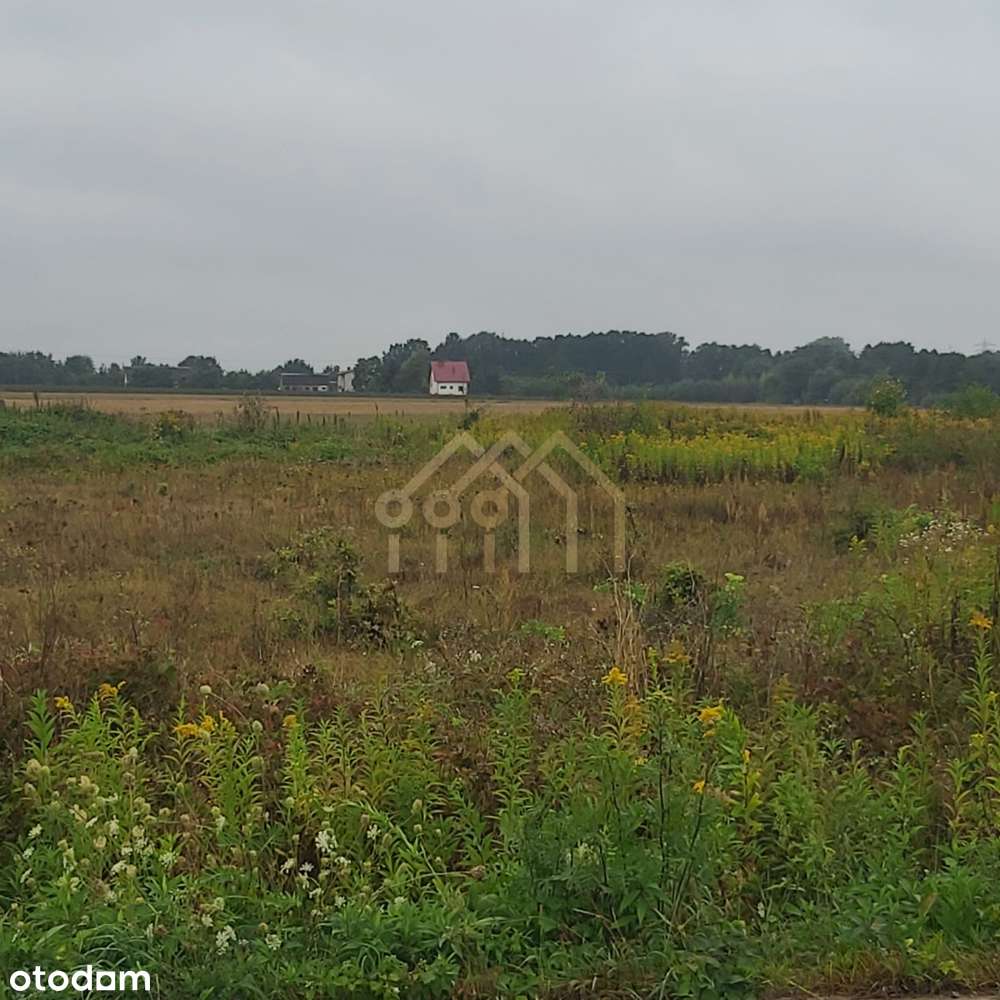 Działka / spokojna okolica. - Pełny obrazek: 4/18