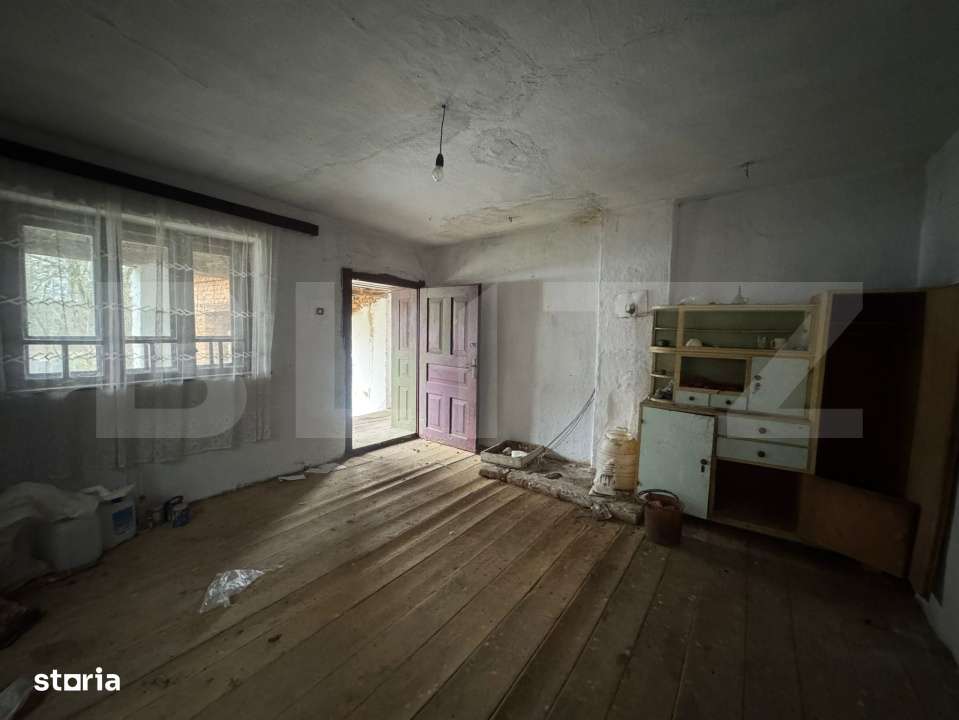 Casa cu 2 camere in Densus, 20 km de Manastirea Prinslop - Imagine principală: 4/10