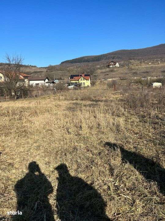 Teren intravilan pentru casa 2400 mp front 16ml Radaia sub pretul piet - Imagine principală: 1/5