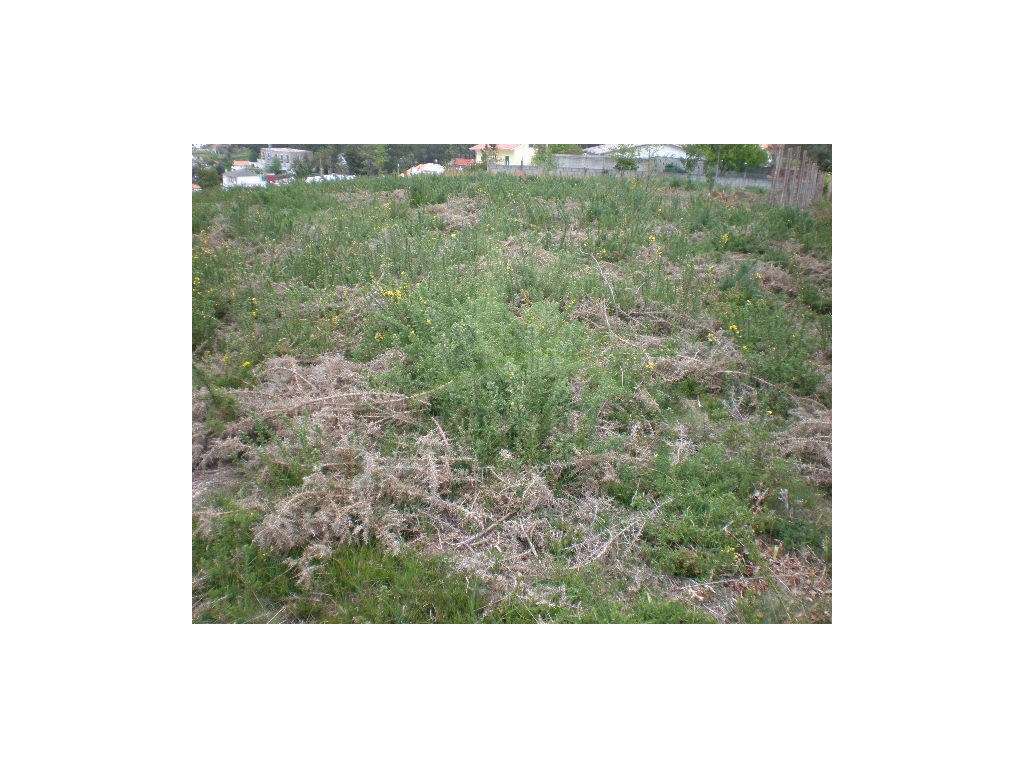 Terreno com vista de Rio em Seixas para venda. - Grande imagem: 5/7