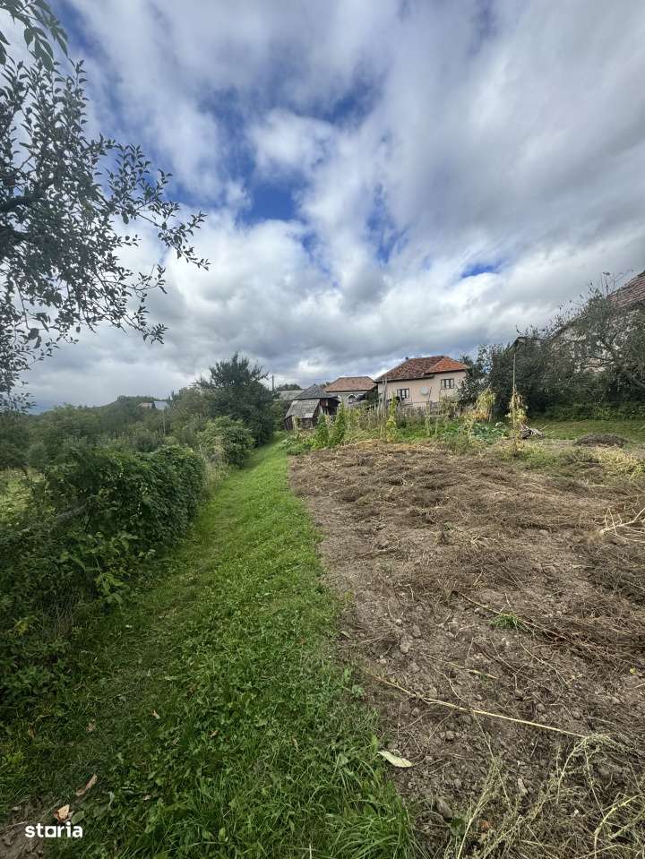 6.605 mp de natura pura – refugiu, afacere sau investitie in Candest-5