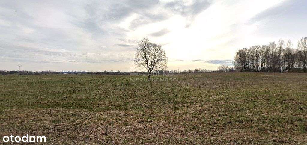 Działka Szklak Wjm – Szymonka, gmina Ryn - Pełny obrazek: 4/6