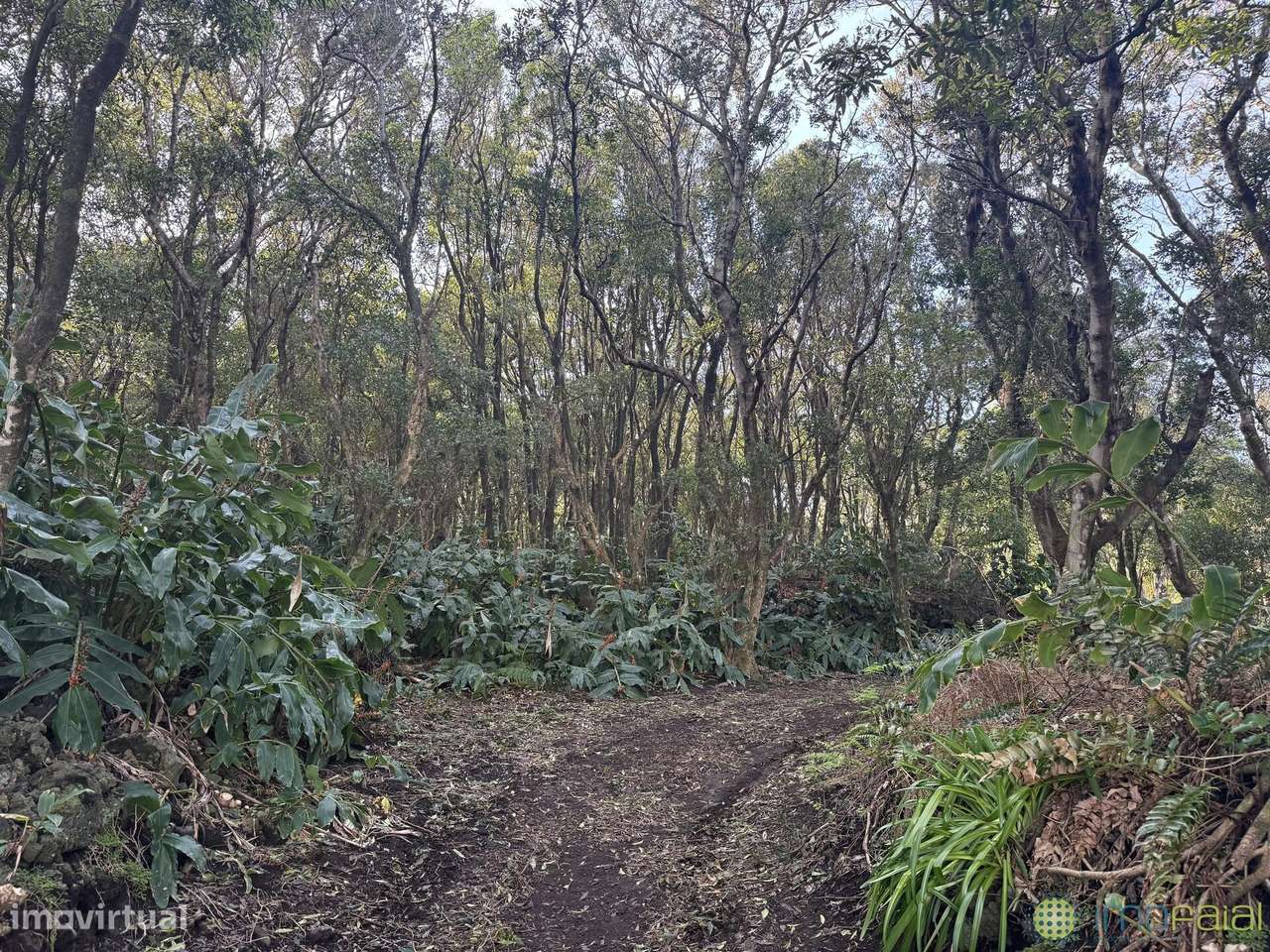 Venda Prédio - Grande imagem: 4/35