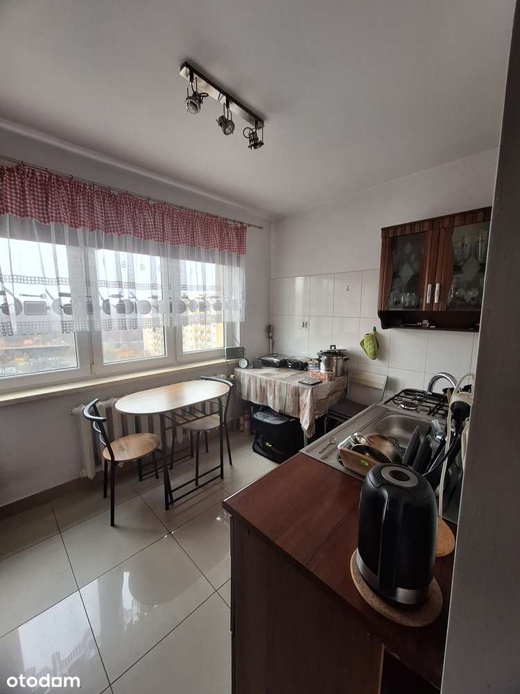 Do wynajęcia przestronna kawalerka z pięknym widokiem. - Pełny obrazek: 5/8