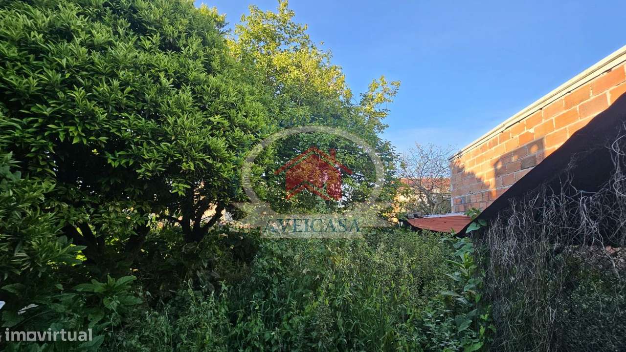 CASA GANDARESA EM VERDEMILHO PARA RECUPERAR-31