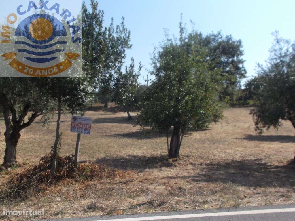 Terreno para construção. - Grande imagem: 2/3