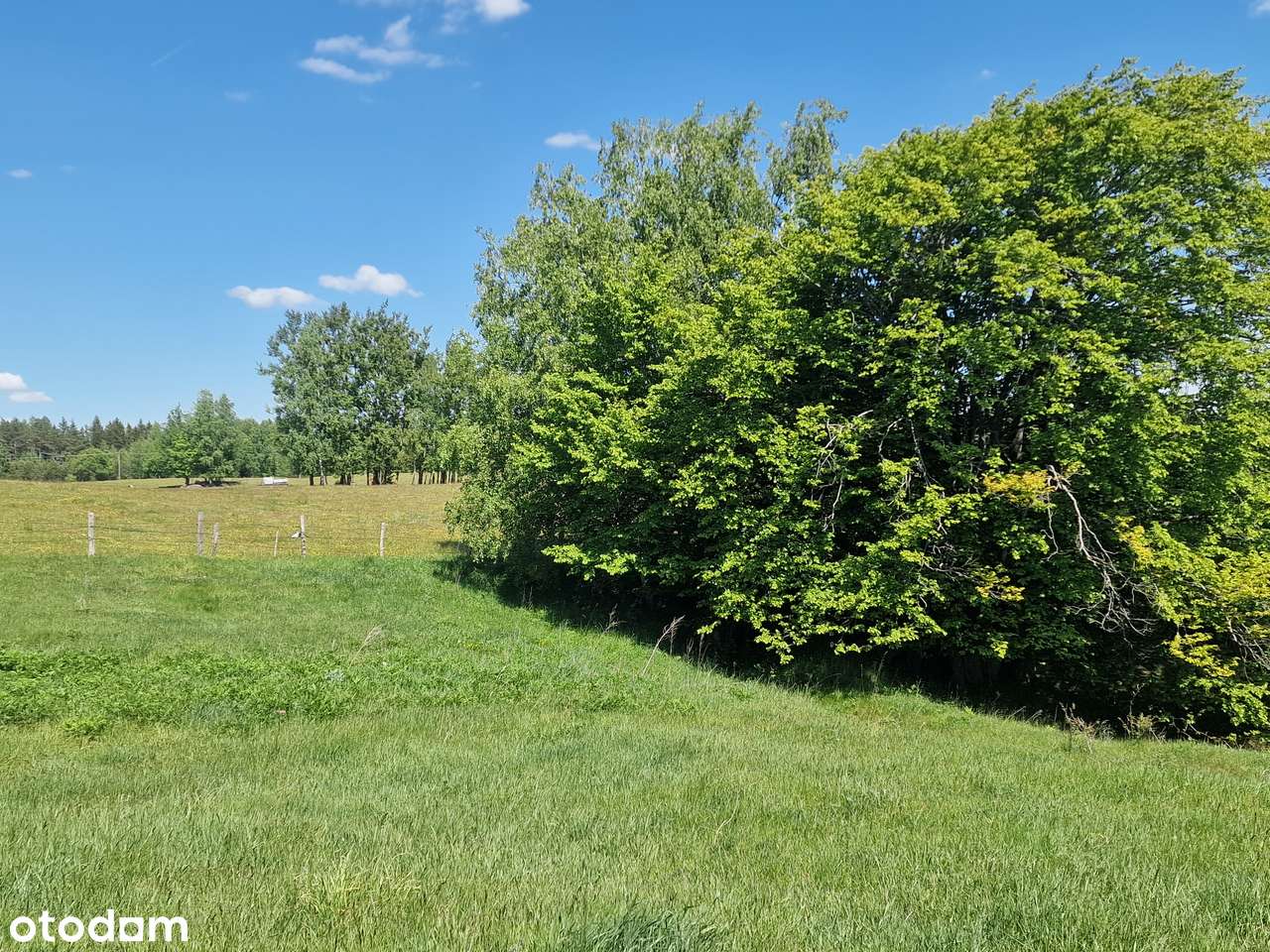 Piękna duża działka. Inwestycja w ziemię. Blisko lasu i wody. - Pełny obrazek: 3/19