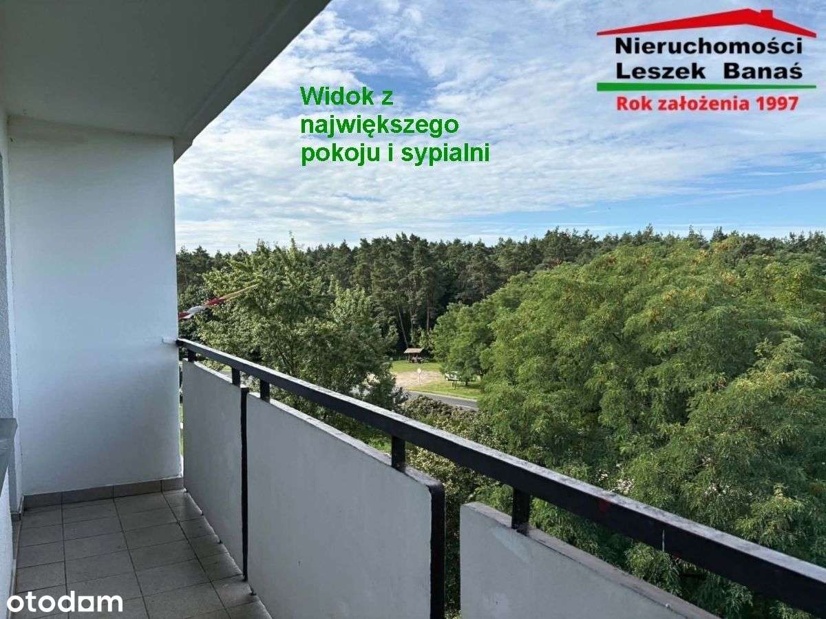 Lotnisko - mieszkanie z pięknym widokiem!-7