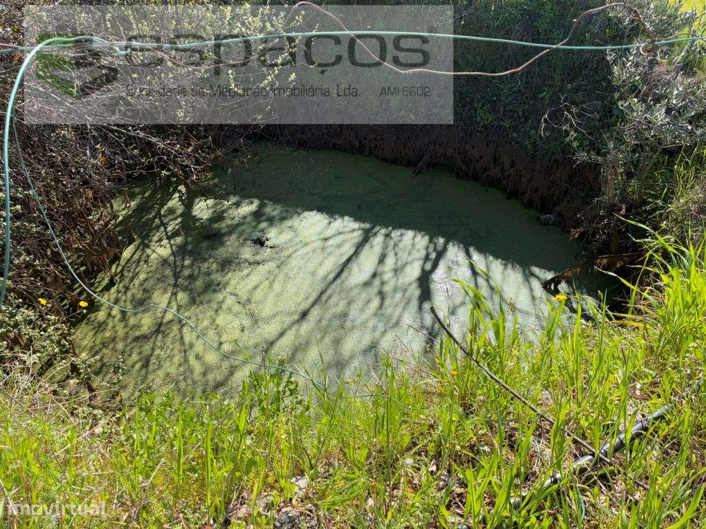 Quinta com magnifica lagoa privada - Grande imagem: 5/46