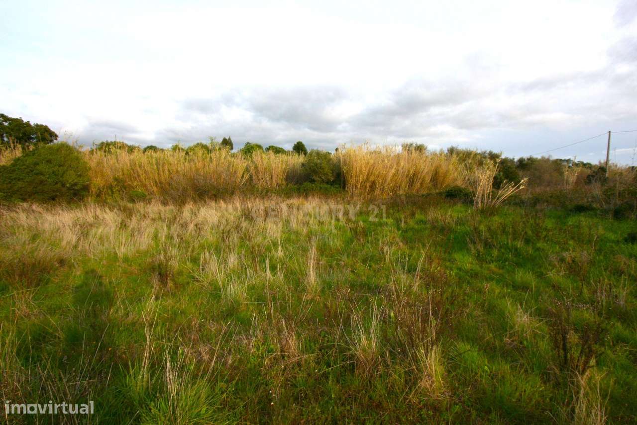 Terreno rustico de 38.000 m2 excellente para projeto agrícola - Grande imagem: 4/15