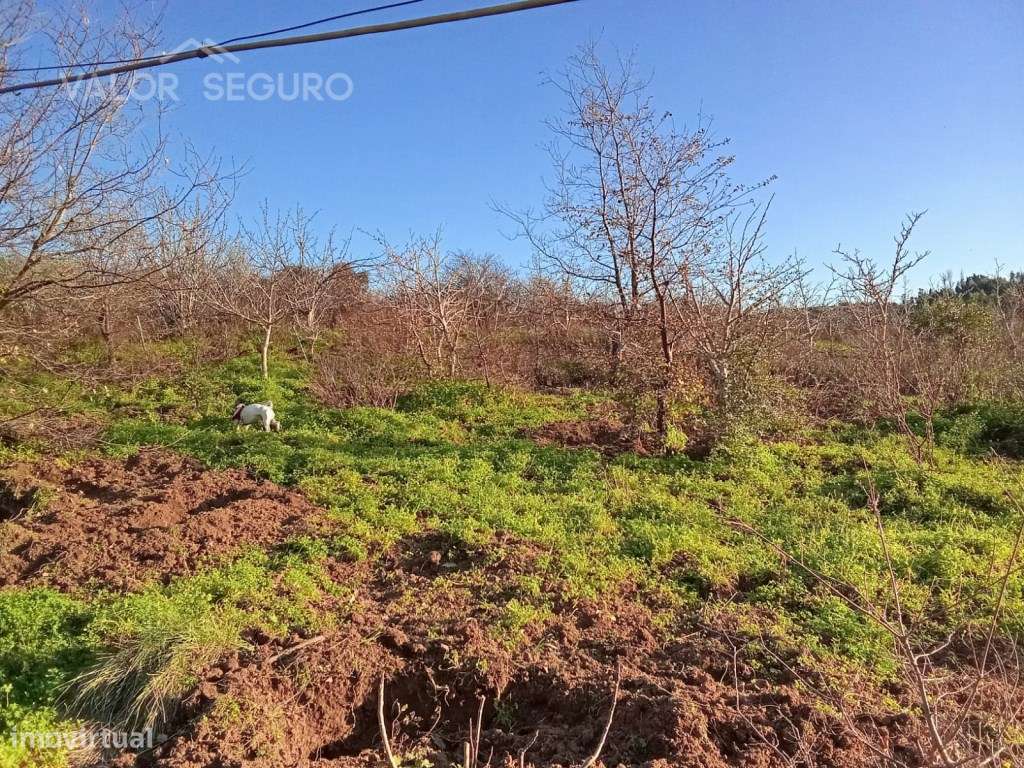 Terreno rústico em Vale Serrão, Pereiro de Palhacana, Alenquer-14