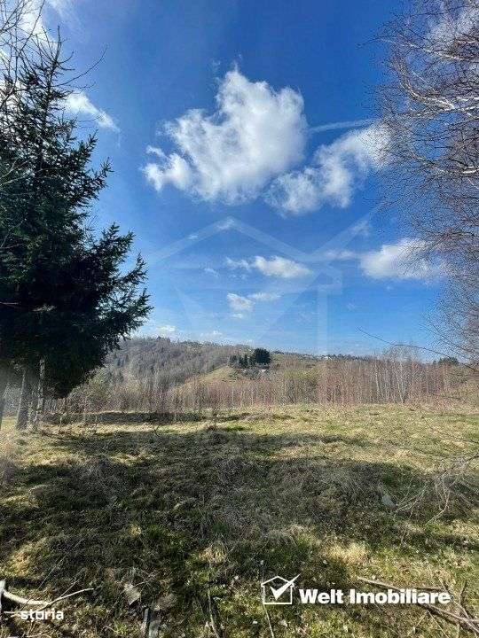 Teren cu panorama pentru cabana, Risca, Valea Fericirii - Imagine principală: 1/5