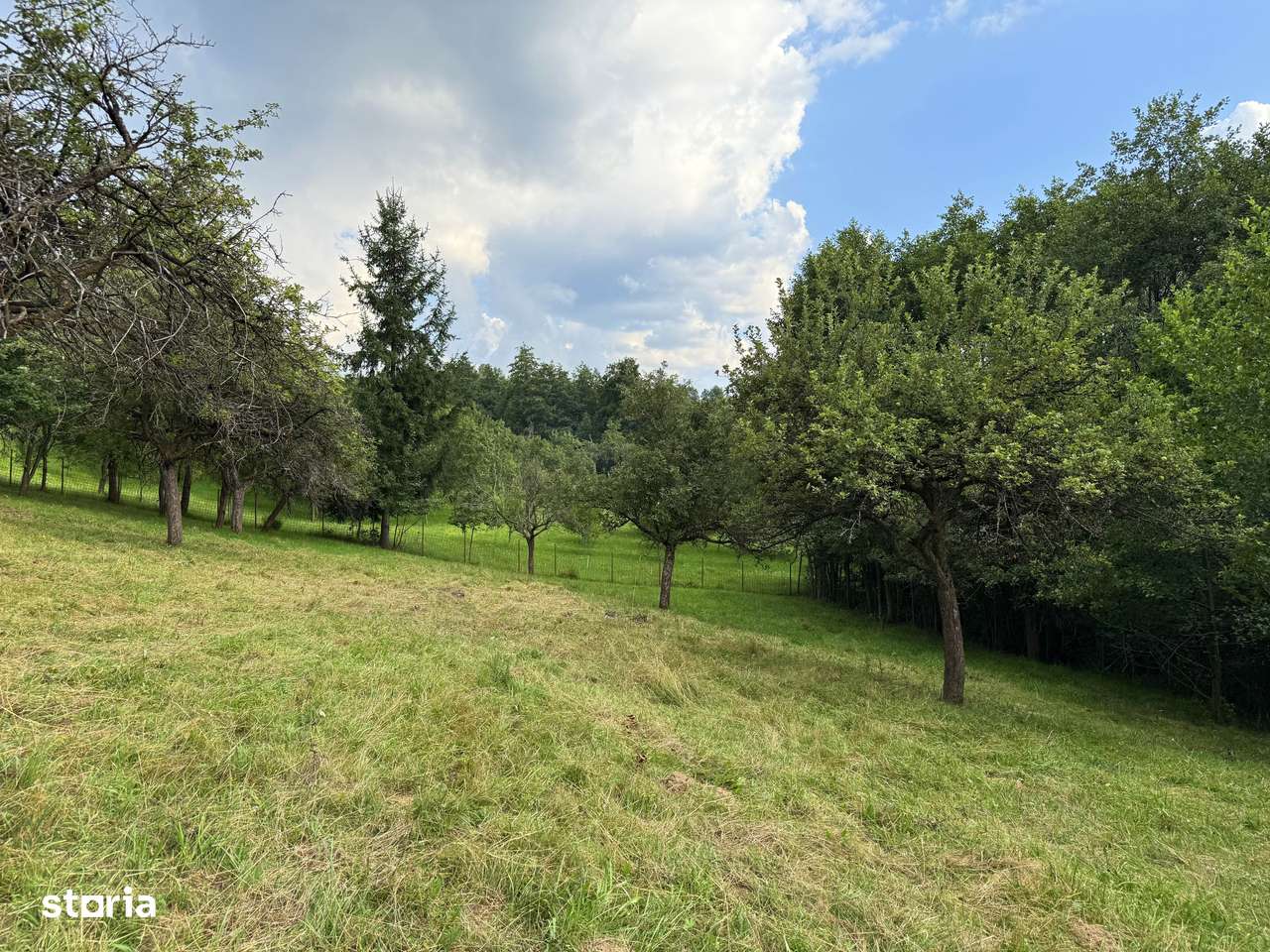 Teren intravilan 1600 mp, Sohodol, Bran, jud. Brasov - Imagine principală: 4/5