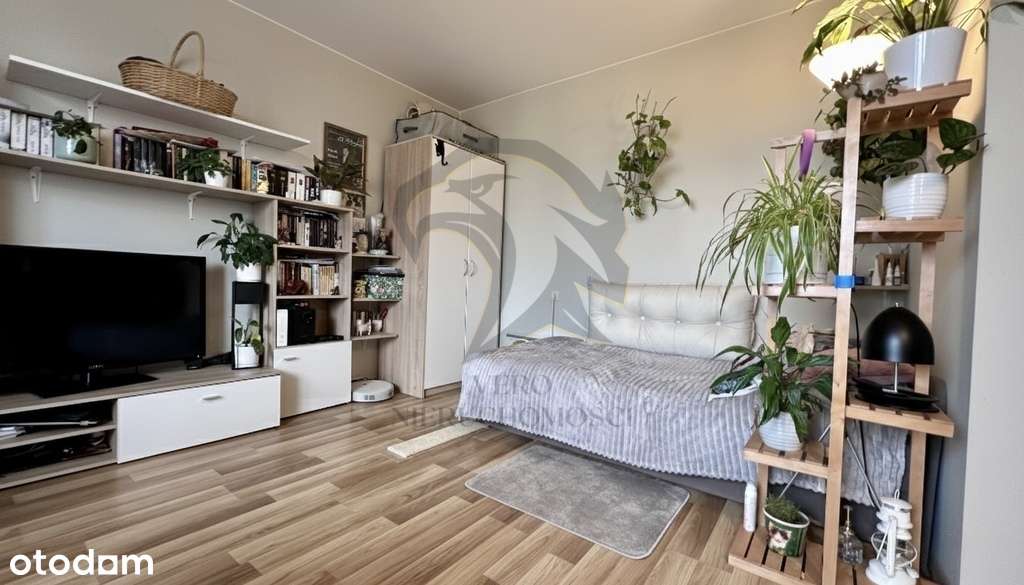 Twoja prywatna strefa Zen-17