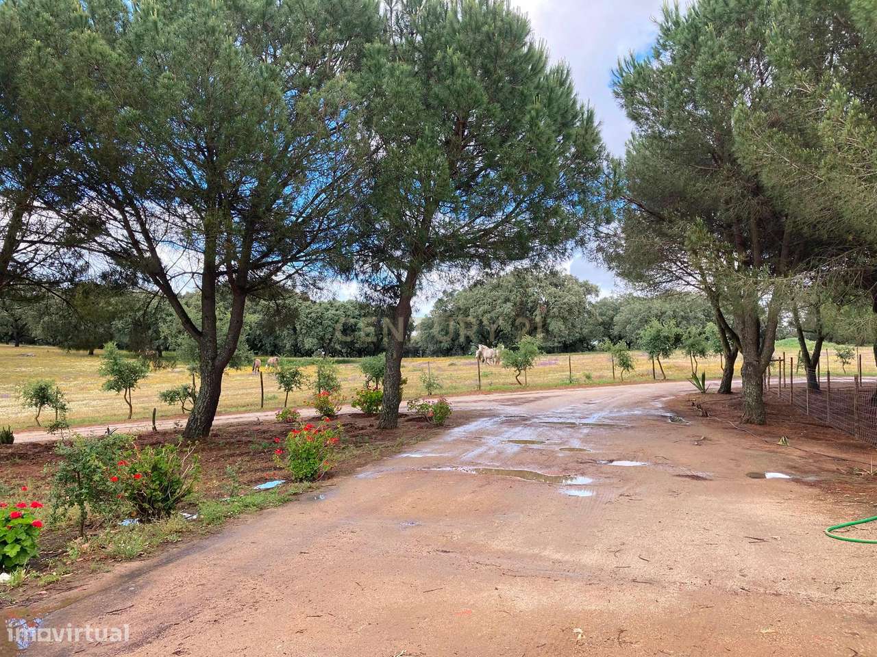 Herdade da Pedra Longa — Um Património Único no Coração do Alentejo-54