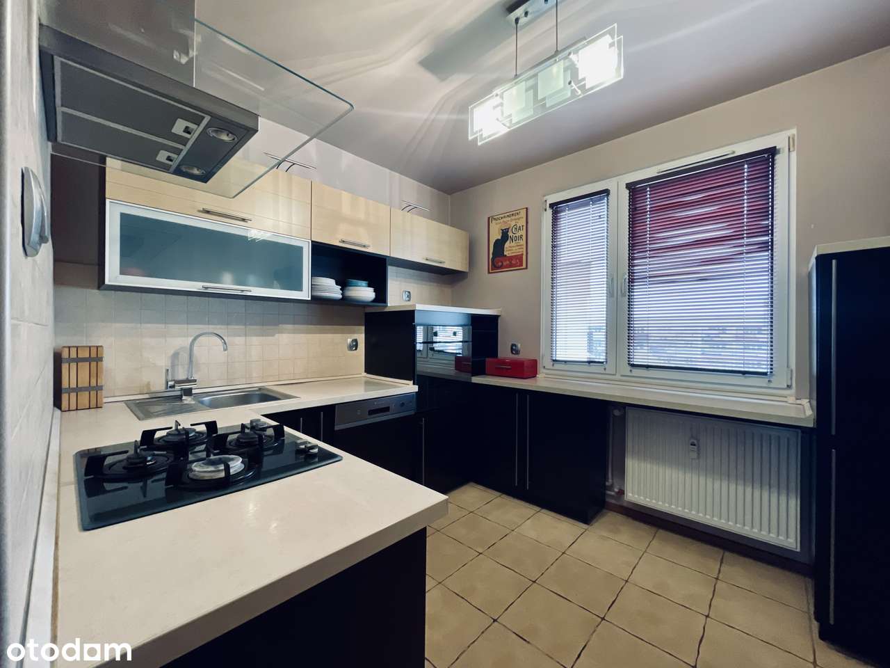 Duża loggia | Dwustronne | Piwnica | Parking | Pasaż handlowy | Skwer - Pełny obrazek: 5/19