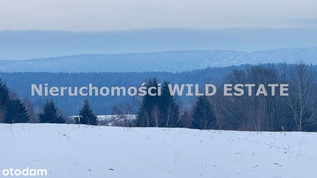 Działka, 11 163 m², Olszanica-3