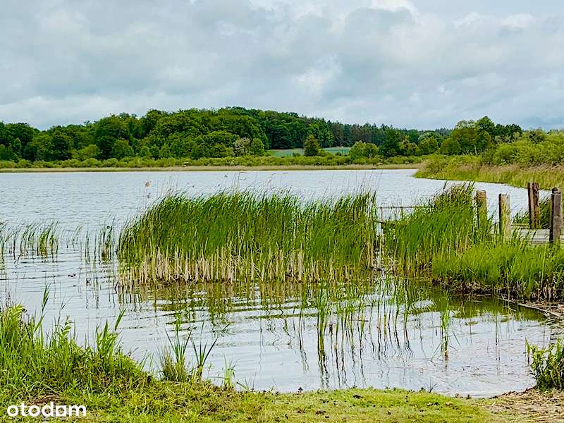 Przepiękna działka Strzeszów Nad Jeziorem-8
