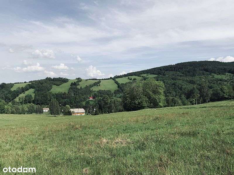 Góry Izerskie na wyciągnięcie ręki – działka budowlana 0,5 ha Gierczyn - Pełny obrazek: 4/9