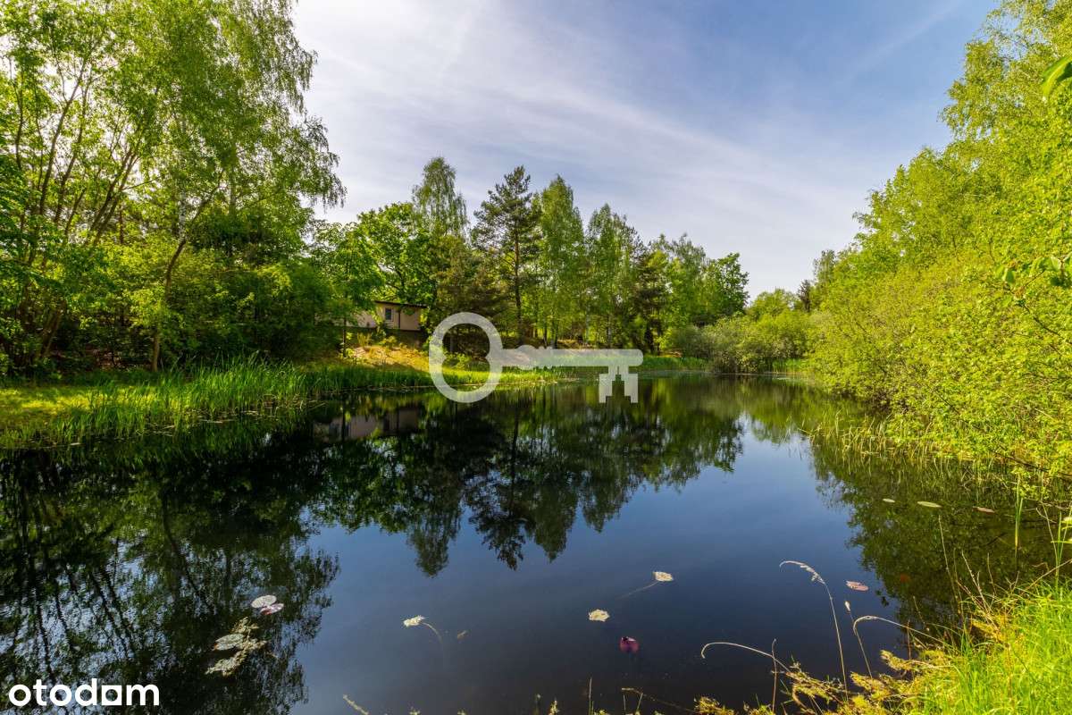 Działka budowlana | Staw | Z ogrodem-0