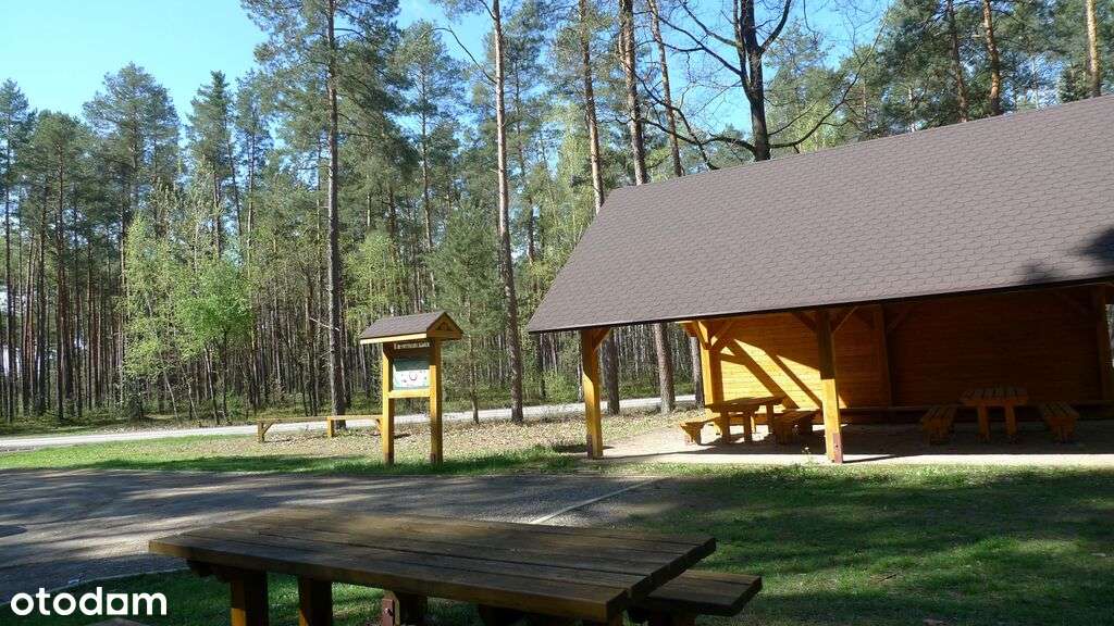 siedlisko, prawie 1 ha ziemi, w pięknym otoczeniu!-12