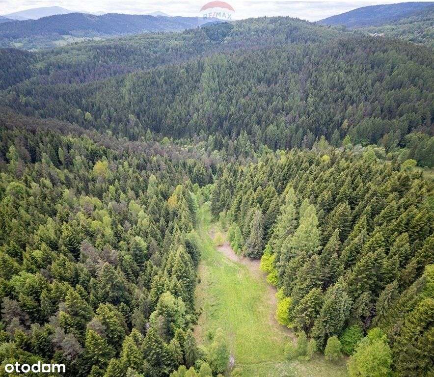 Działka rolna w Krzeszowie - Pełny obrazek: 4/7