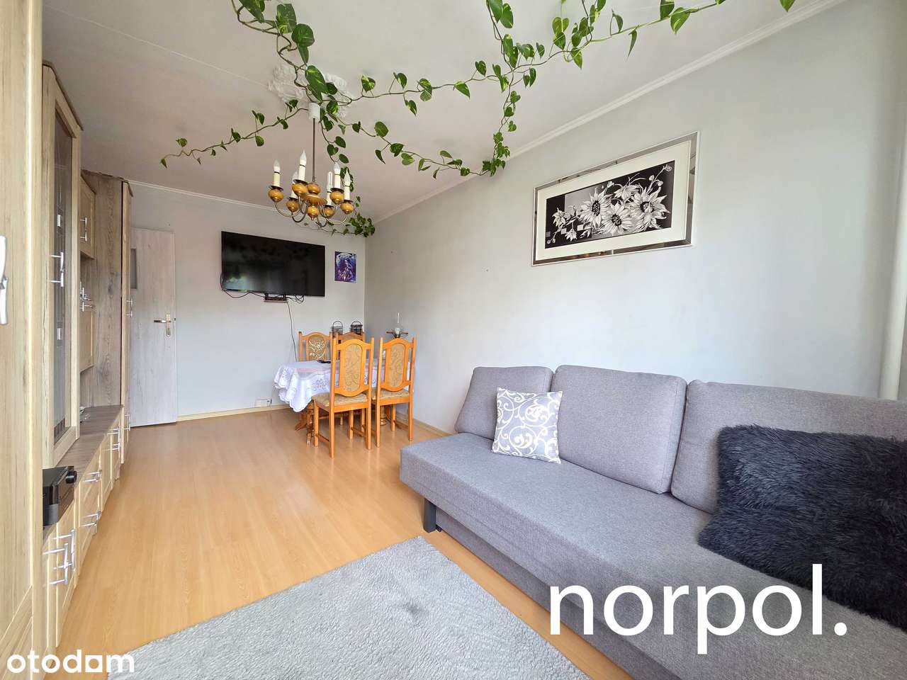 3 niezależne pokoje, osobna kuchnia, łazienka, toaleta, balkon-5